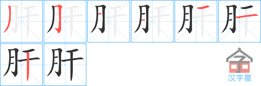 《肝》的笔顺分步演示（一笔一画写字）