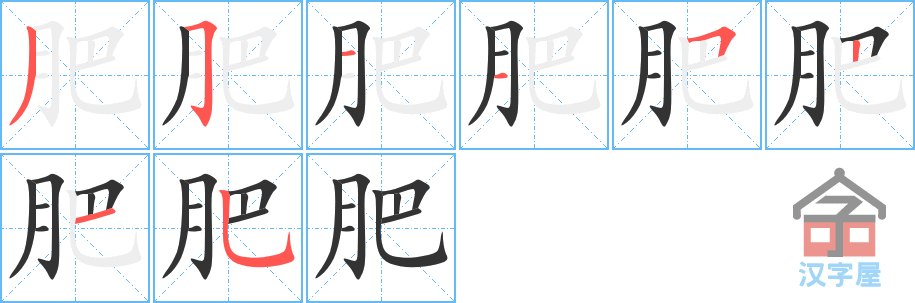 《肥》的笔顺分步演示（一笔一画写字）